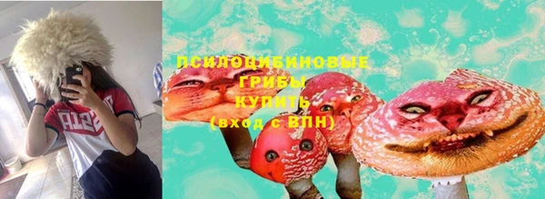 прущие крисы Арсеньев