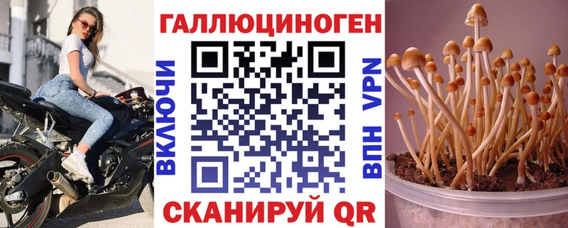 Галлюциногенные грибы мухоморы  Купить  Татарск 